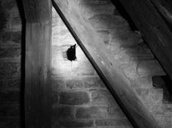 VYSOKÝ ÚJEZD nad DĚDINOU: detail románského východního štítu (foto M. Falta 2010).